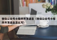 微信公众号小程序开发语言（微信公众号小程序开发语言怎么写）