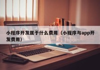 小程序开发属于什么费用（小程序与app开发费用）