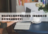 微信商城小程序开发实训报告（微信商城小程序开发实训报告范文）