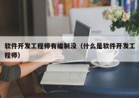 软件开发工程师有编制没（什么是软件开发工程师）