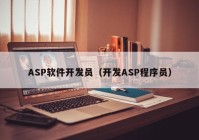 ASP软件开发员（开发ASP程序员）