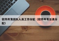 软件开发团队人员工作分配（软件开发任务分配）