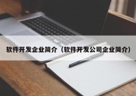 软件开发企业简介（软件开发公司企业简介）