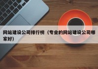 网站建设公司排行榜（专业的网站建设公司哪家好）