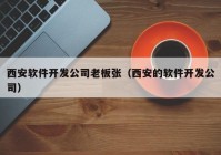 西安软件开发公司老板张（西安的软件开发公司）