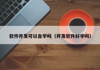 软件开发可以自学吗（开发软件好学吗）