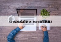 seo优化欢迎咨询（seo首页优化）