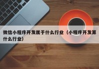 微信小程序开发属于什么行业（小程序开发算什么行业）