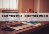 工业软件开发学什么（工业软件开发学什么的）