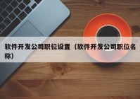 软件开发公司职位设置（软件开发公司职位名称）