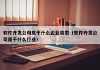 软件开发公司属于什么企业类型（软件开发公司属于什么行业）