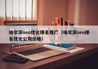 哈尔滨seo优化排名推广（哈尔滨seo排名优化公司价格）